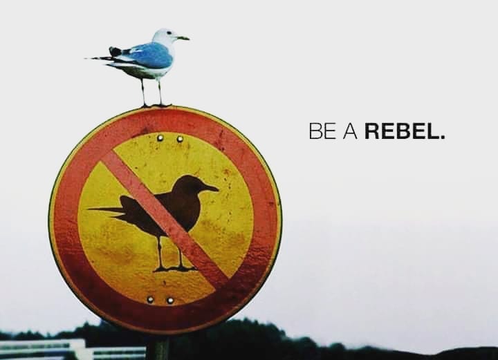 be_a_rebel